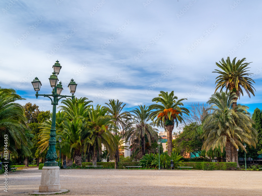 Palm trees in the park against the blue sky. Valencia..