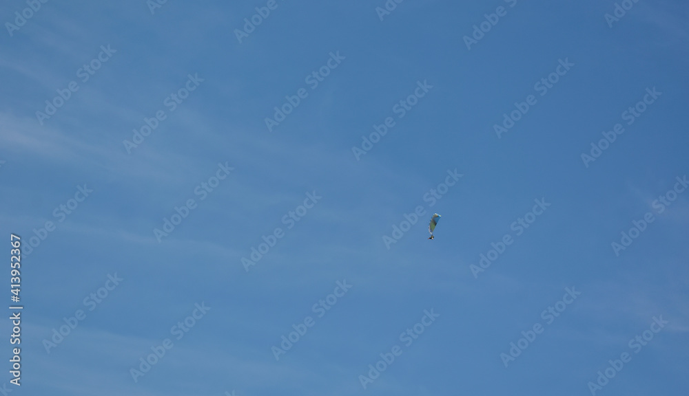 A glider in the sky, controlled by someone A glider in the sky, controlled by someone