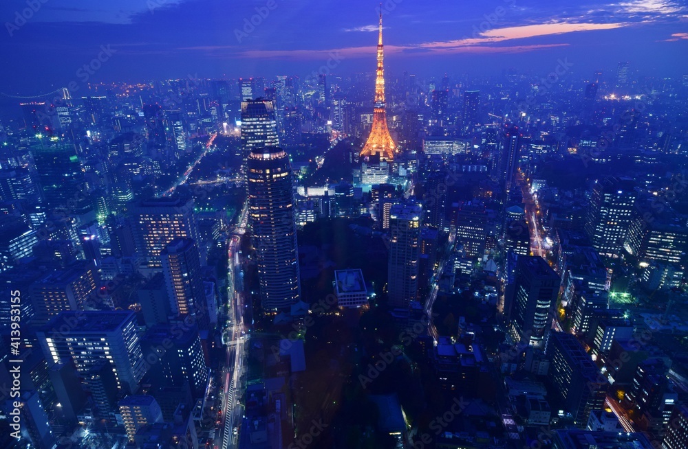 Obraz premium 六本木ヒルズからの夕景