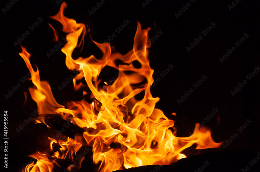 Arson or natural disaster. Burning tree branches. Remains from fire, hot red-orange coals from burnt wood. Arson or natural disaster. Burning tree branches. Remains from fire, hot red-orange coals from burnt wood.