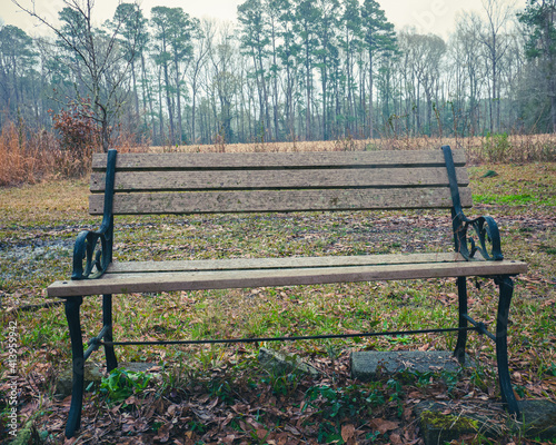 Bench field old nature