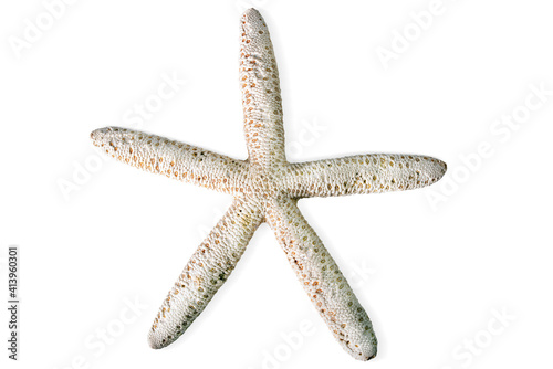 A starfish on the white background, isolated.