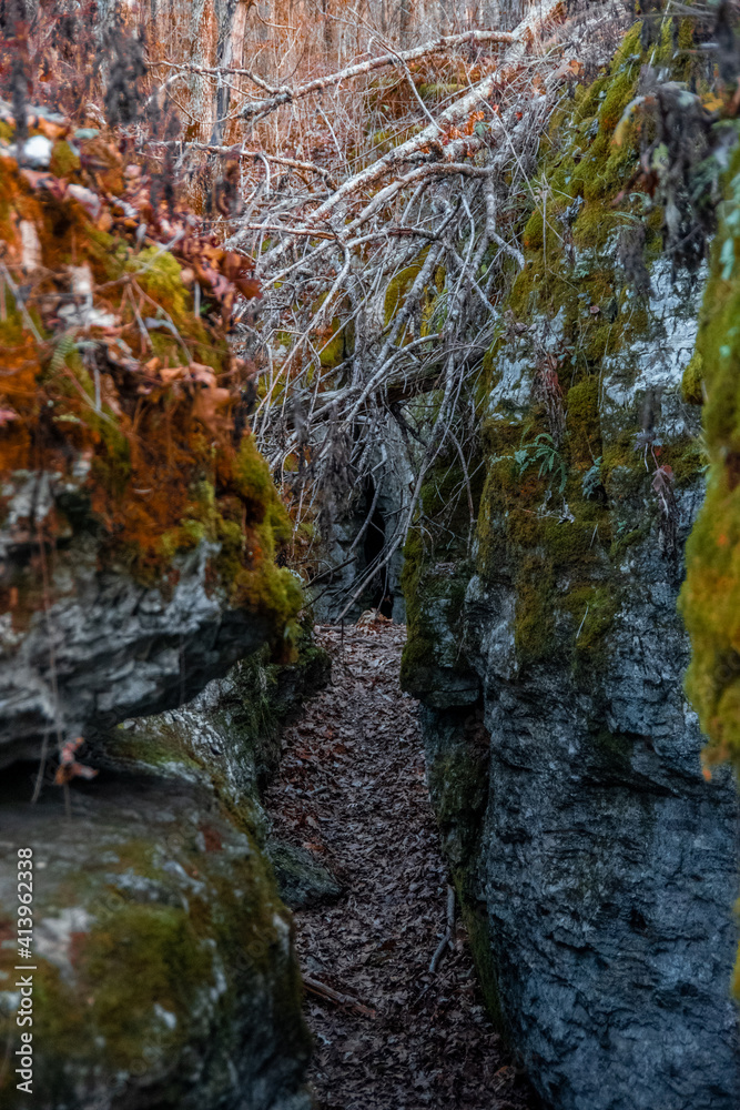 moss covered rocks and small cave opening in the forest moss covered rocks and small cave opening in the forest