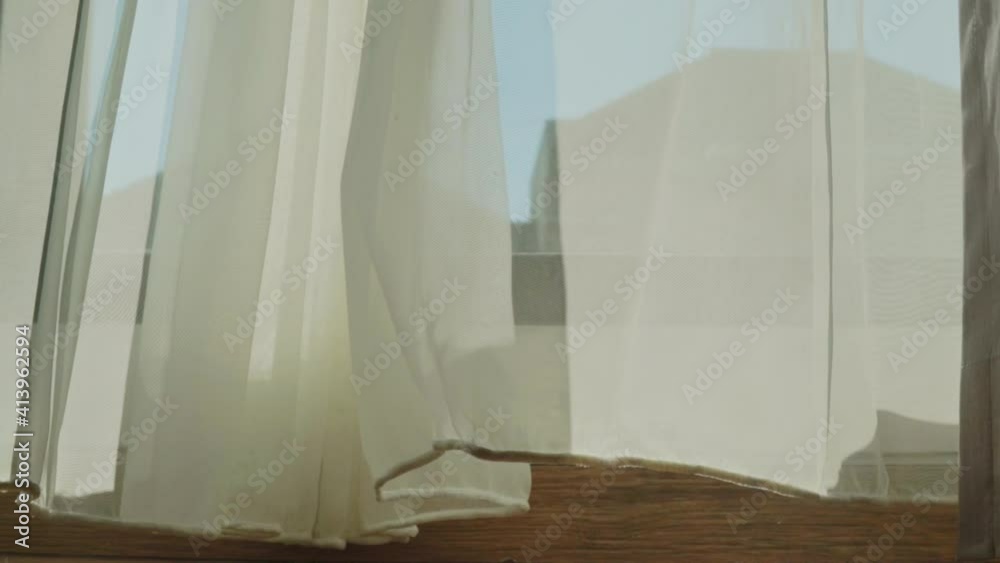 Transparent white curtain tulle moves from the wind from an open window. Sunny day, the sun's rays sunlight penetrate the room. Transparent white curtain tulle moves from the wind from an open window. Sunny day, the sun's rays sunlight penetrate the room.