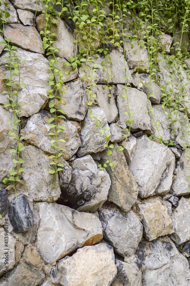 stone wall in nature garden