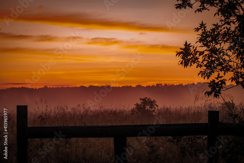 Foggy Early Morning FIeld