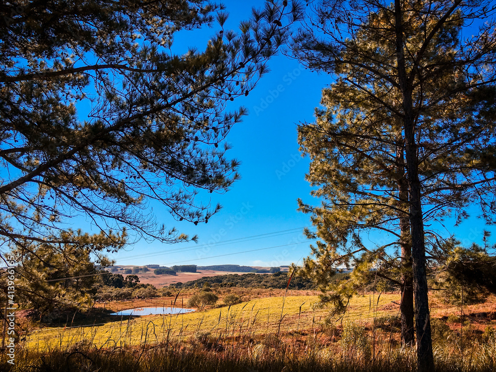 autumn landscape with trees and sky