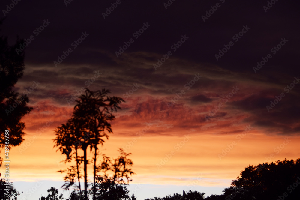 Obraz premium atardecer contraste 