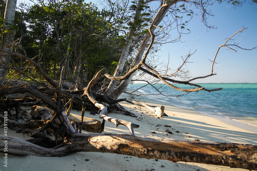 Dry tree branches and vegetation on the sea coast Dry tree branches and vegetation on the sea coast