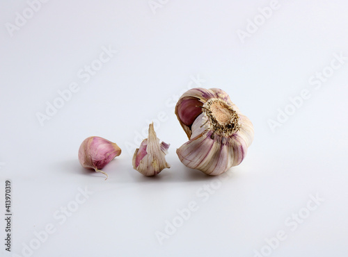 garlic photo