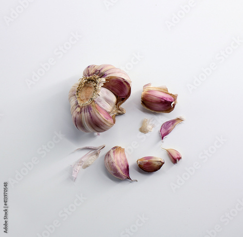 garlic photo