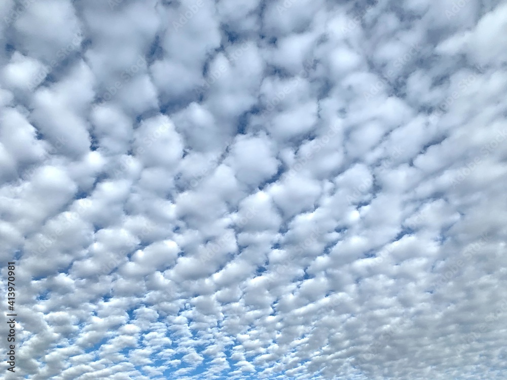 Obraz premium Stickles back in clouds