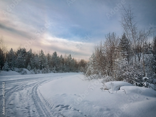 Winter landscape sunset in the forest with snowy field in the foreground. © Anatoliy