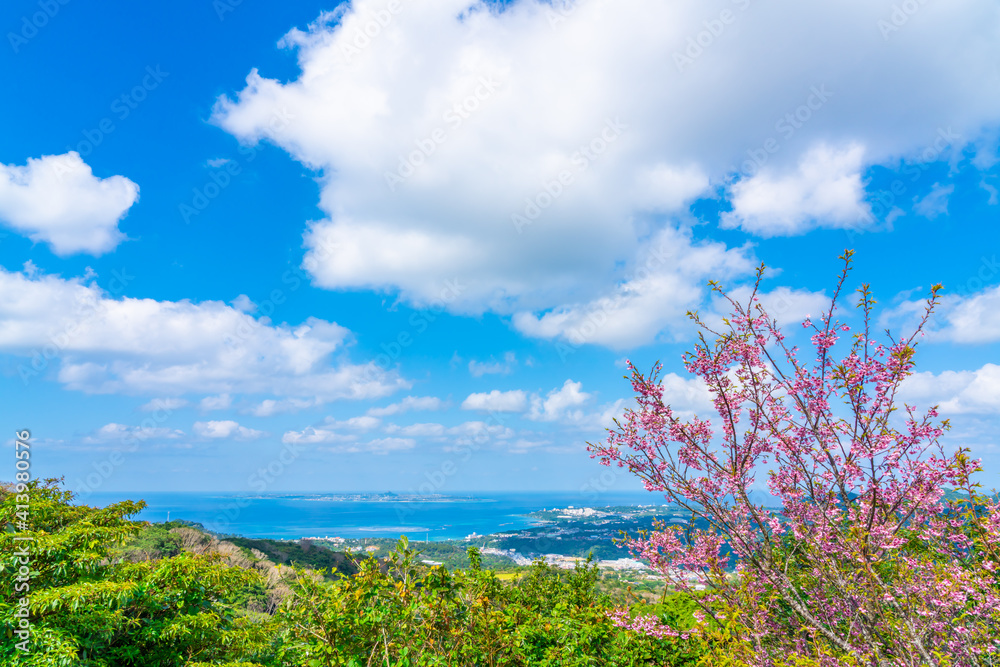 緋寒桜と伊江島