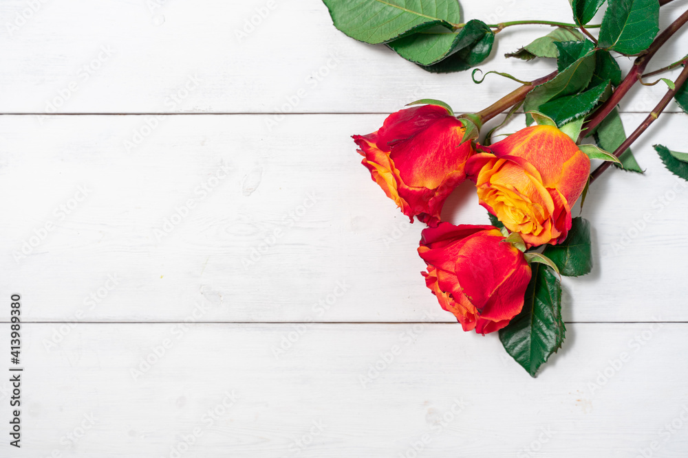 three red and yellow roses on a white wooden background