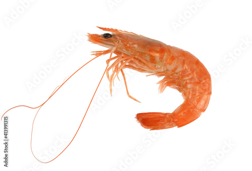 fresh cooked shrimp isolated on white background
