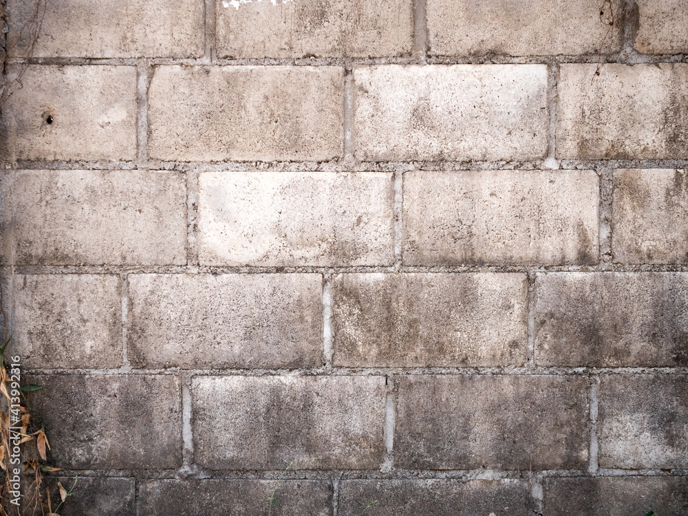Obraz premium The texture of an unpainted old wall overgrown with ivy. The soil is covered with dry leaves. Moldy wall surface. Stained and moldy concrete blocks.