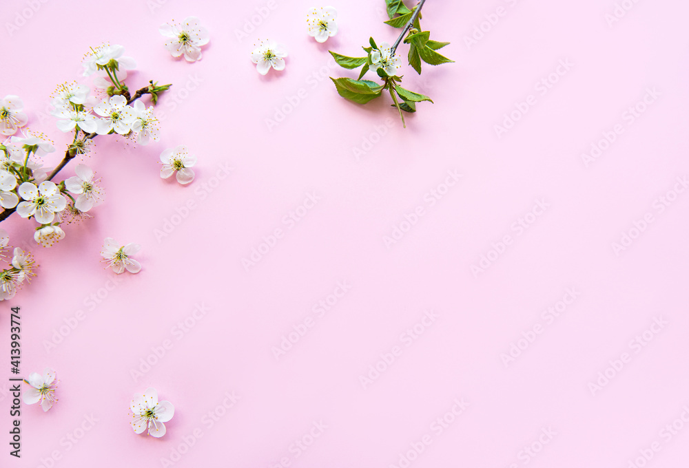 Spring border background with beautiful white flowering branches. Spring border background with beautiful white flowering branches.