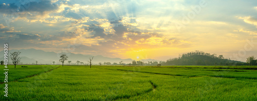 The beautiful panorama landscape of The sun rises sun's rays through at Cloud The foreground is a green rice field, Focus on trees and mountains, at Chiang Rai Northern Thailand.