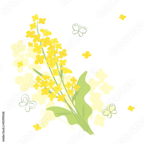 Canola flowers and butterfly background illustration