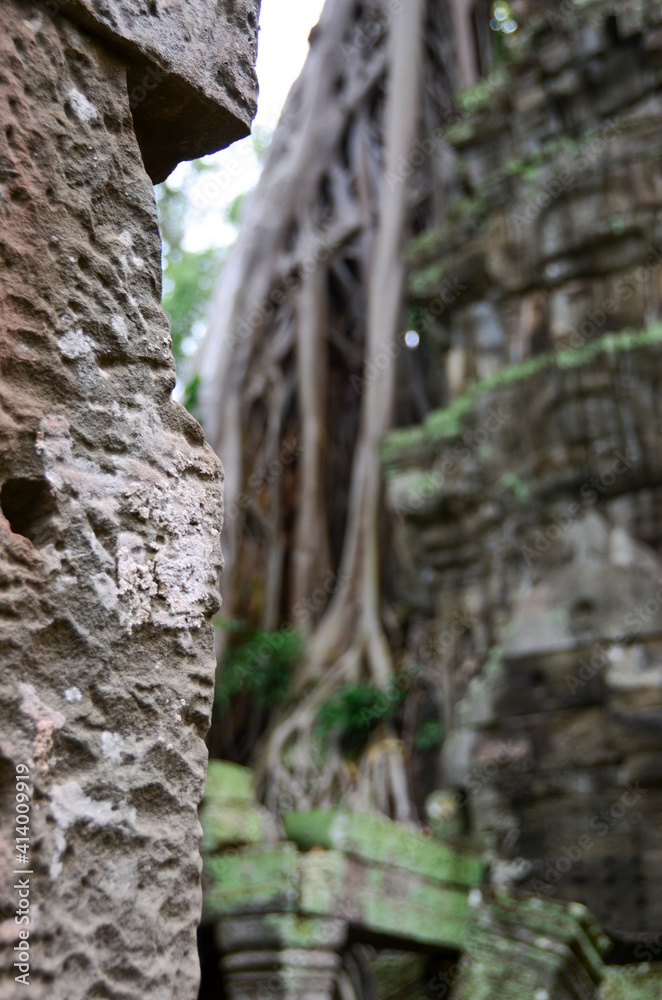 Fototapeta premium The view of Ta Prohm temple in Siem Reap in Cambodia. Angkor complex.