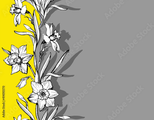 Floral greeting card with flowers Daffodil, Narcissus on trendy colors yellow illuminating and Ultimate gray background. Design element with copy space for celebration card, banner, poster.