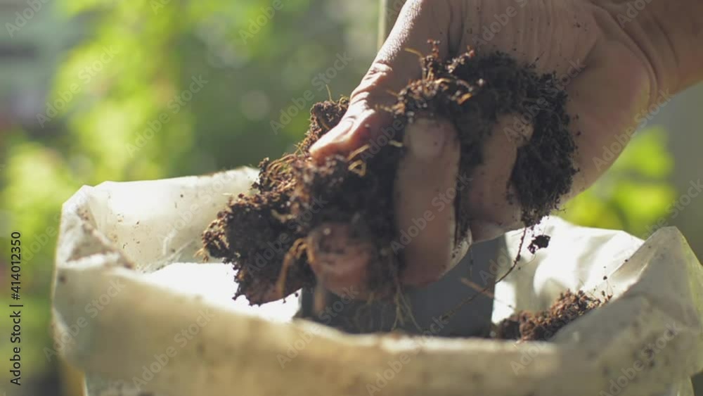 Close up hand of gardener holding and crushing organic compost soil to test the quality. Agriculture and Cultivation.