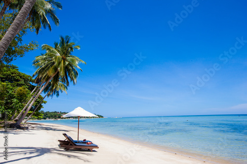 beach with coconut trees © yutthachai