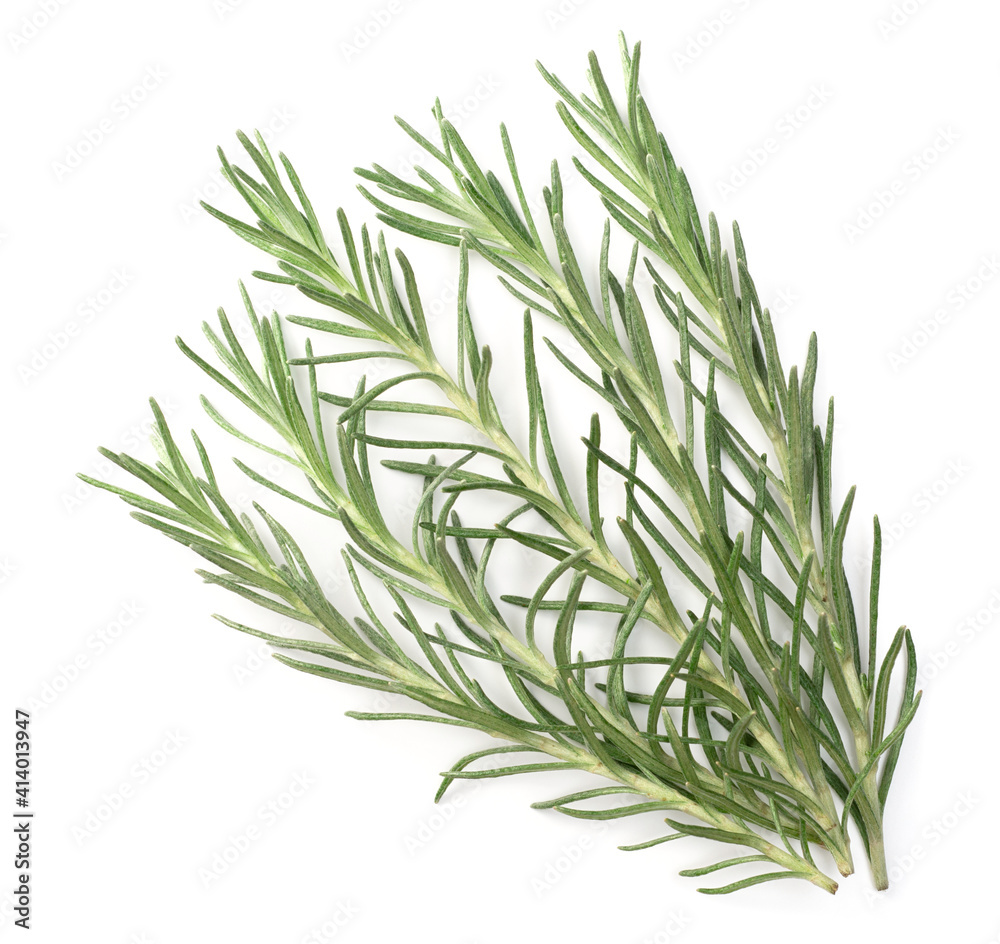 Fototapeta premium fresh Immortelle isolated on white background, top view