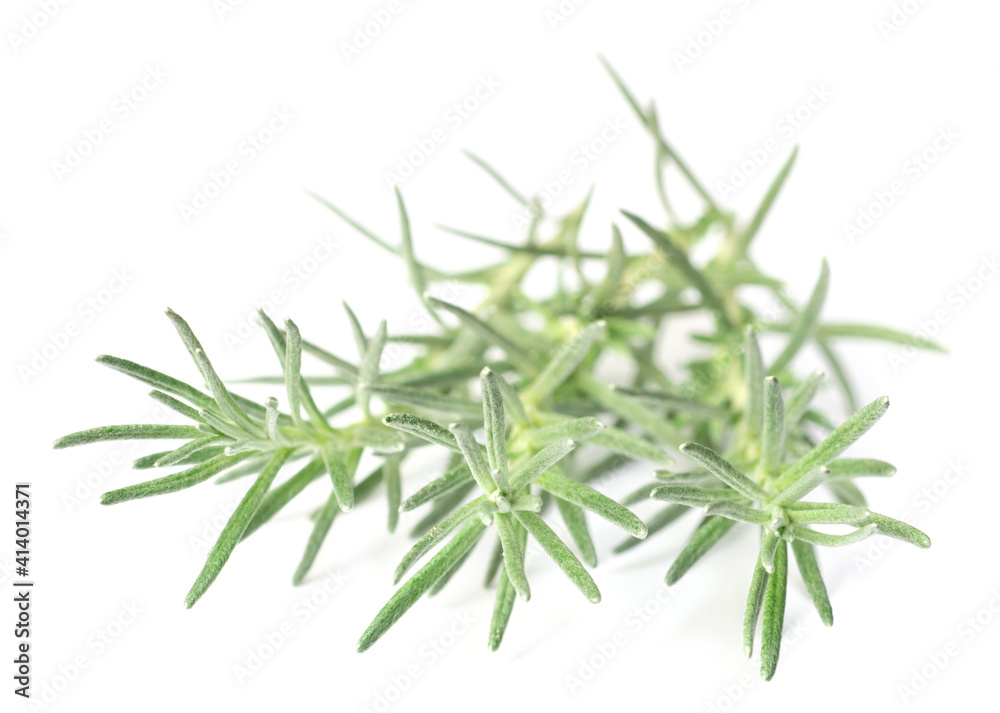 Obraz premium fresh Immortelle isolated on white background