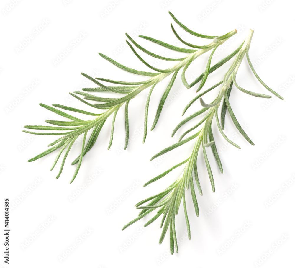 Naklejka premium fresh curry plant isolated on white background, top view