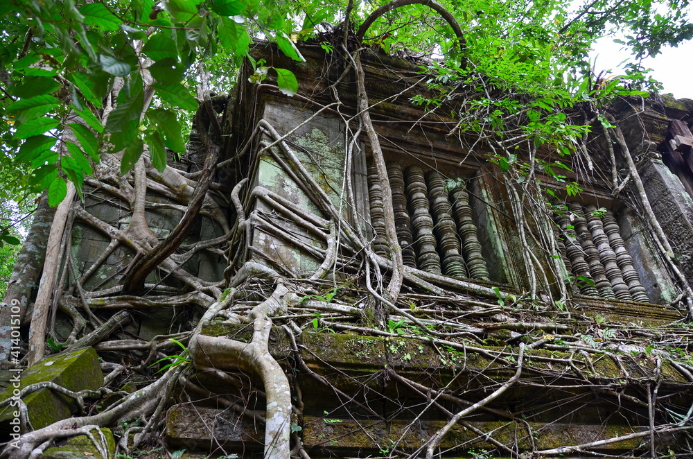 The view of Beng Mealea temple in Cambodia The view of Beng Mealea temple in Cambodia