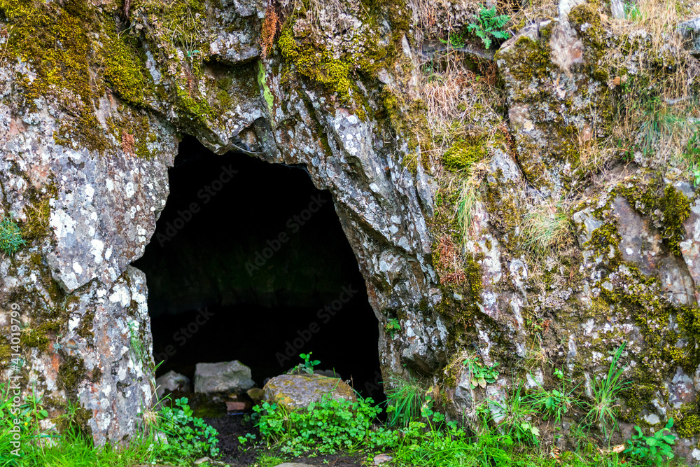 Landscape with cave and forest. Scenic entrance to cave. Rock wall with a dark hole Landscape with cave and forest. Scenic entrance to cave. Rock wall with a dark hole
