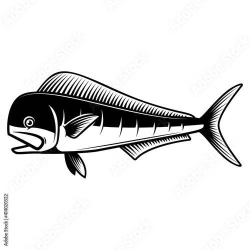 Illustration of mahi mahi fish. Design element for poster card, logo, emblem, sign. Vector illustration