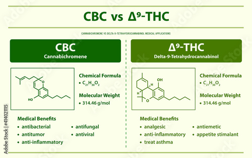 CBC vs ∆9-THC, Cannabichromene vs Delta 9 Tetrahydrocannabinol horizontal infographic  illustration about cannabis as herbal alternative medicine and chemical therapy, healthcare and medical vector.