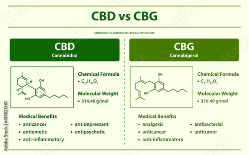 CBD vs CBG, Cannabidiol vs Cannabigerol horizontal infographic  illustration about cannabis as herbal alternative medicine and chemical therapy, healthcare and medical science vector.