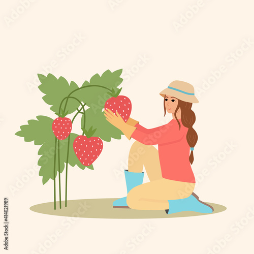 A girl in a panama hat picks strawberries sitting on her knee. The gardener harvests the crop. Cute cartoon vector illustration.