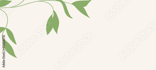 Floral web banner with drawn color exotic monstera leaves. Nature concept design. Modern floral compositions with summer branches. Vector illustration on the theme of ecology, natura, environment