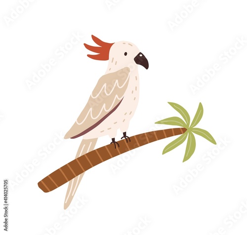 Cockatoo bird sitting on palm tree trunk. Tropical Australian parrot with red crest and long tail. Colored flat vector illustration isolated on white background