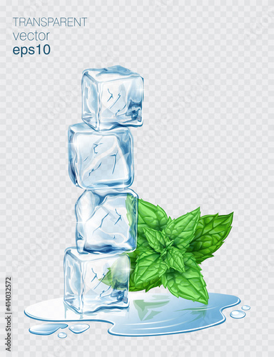 Vector fresh mint leaves and transparent ice cubes isolated on a light background. Mint and ice with transparent shadows.
