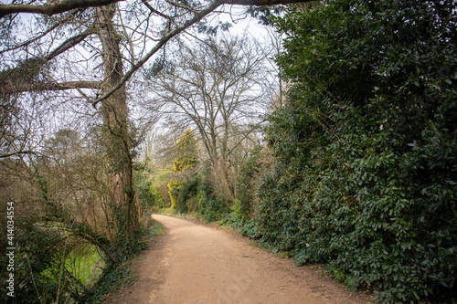 path in the park, Jersey, Channel Islands, old railway track