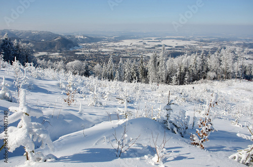 Winterwonderland auf dem Grünberg (Gmunden, Salzkammergut, Oberösterreich, Österreich) - Winter wonderland on the Grünberg (Gmunden, Salzkammergut, Upper Austria, Austria) - photo