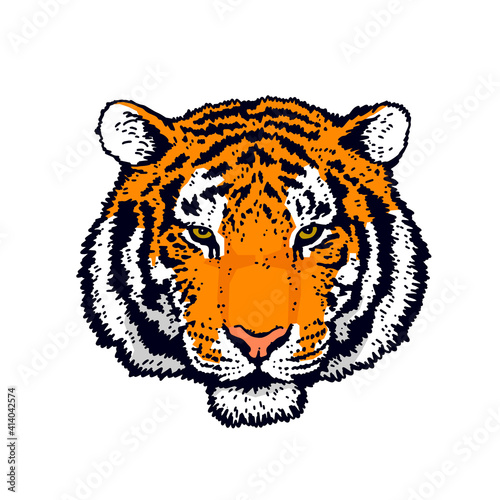 The symbol of the new 2022. Tiger head. Tiger face. Detailed drawing of a tiger.