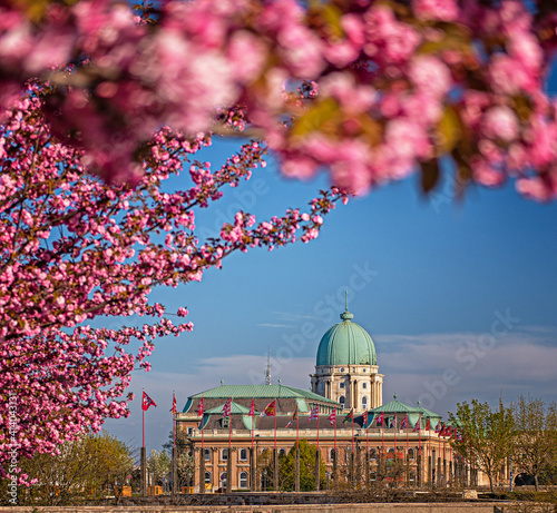 Amazing spring cityscape wi...