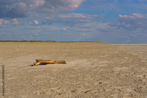 Driftwood on the beach of St. Peter Ording
