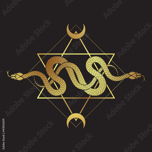 Two gold serpents over the six pointed star line art boho chic tattoo, poster, tapestry or altar veil print design vector illustration.