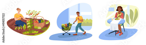 Collection of healthy and wholesome vegetarian food plots.