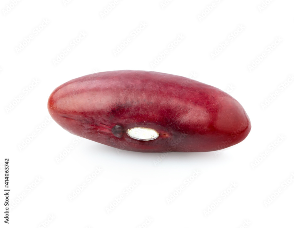 red bean isolated on white background red bean isolated on white background