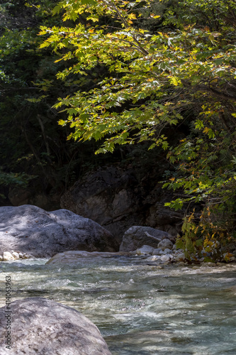 A fast mountain river flows on a sunny summer day  Central Macedonia  Greece 