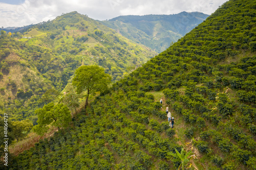 Aerial view of a few people walking a steep hillside with plantation near Salgar township, Antioquia, Colombia. photo